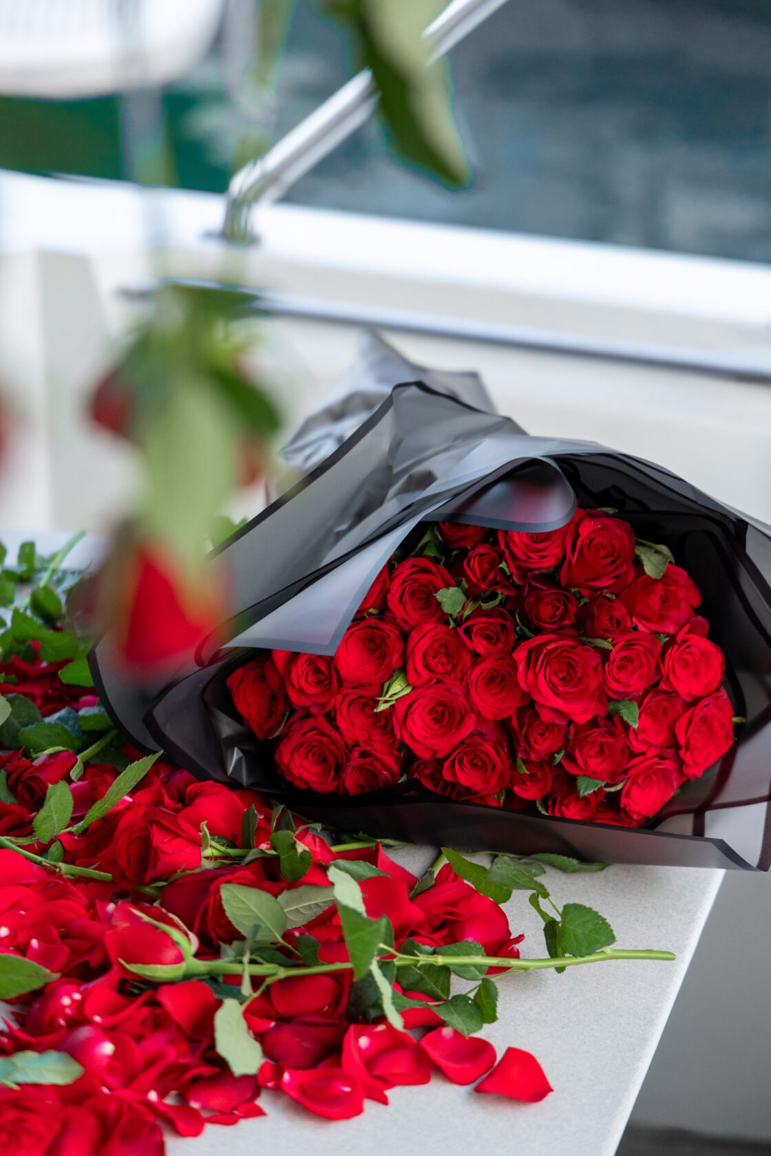 Proposal Jimmy & Maribelle